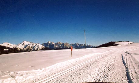 Pista_da_fondo_sito.jpg (25793 byte)
